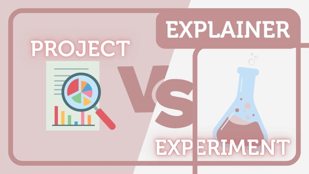 Wat is het verschil tussen een project en een experiment_ - Innovatie Explainer