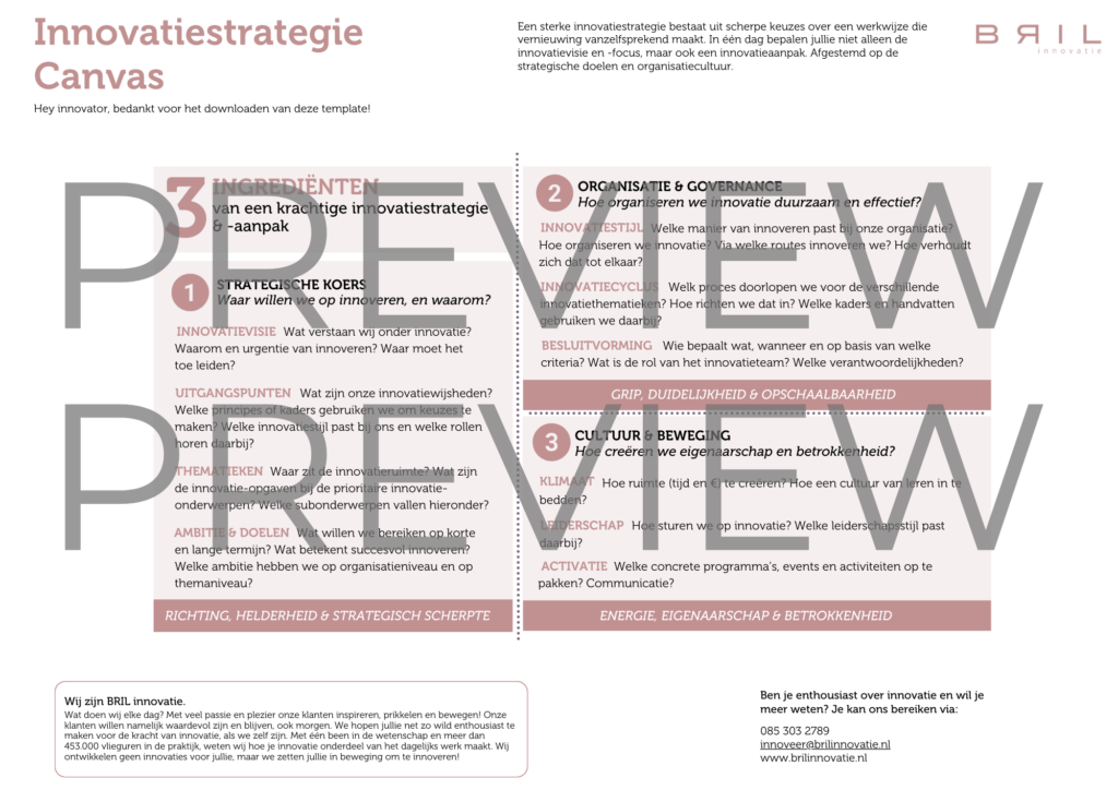 Innovatiestrategie Canvas preview